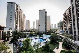 城东某楼盘爆料视频最新,爆款楼盘揭秘，品质生活即将启幕！